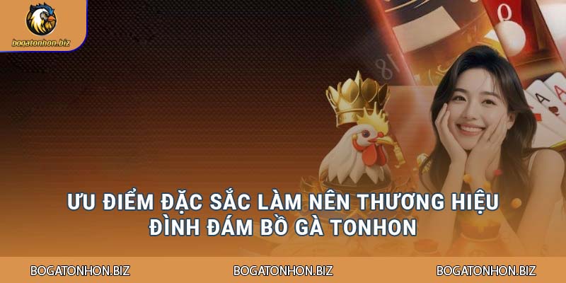 Uu điểm đặc sắc làm nên thương hiệu đình đám Bồ Gà Tonhon